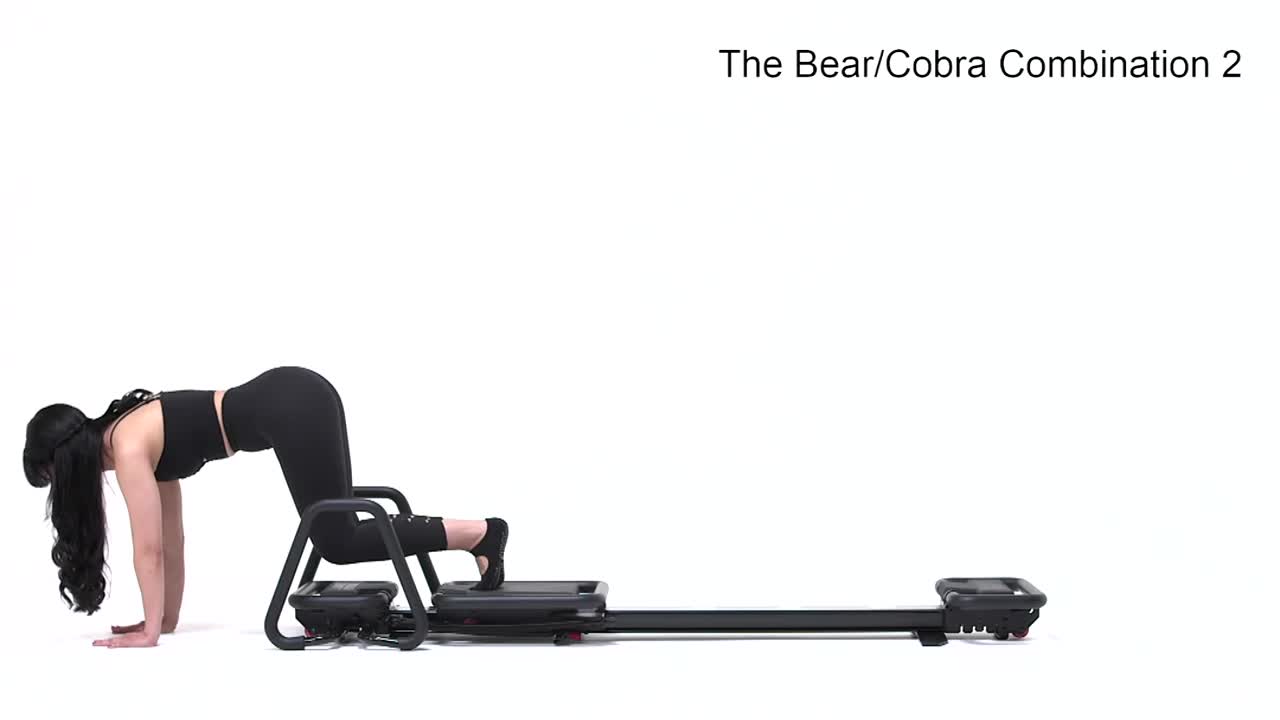 Bear/Cobra Combination 2