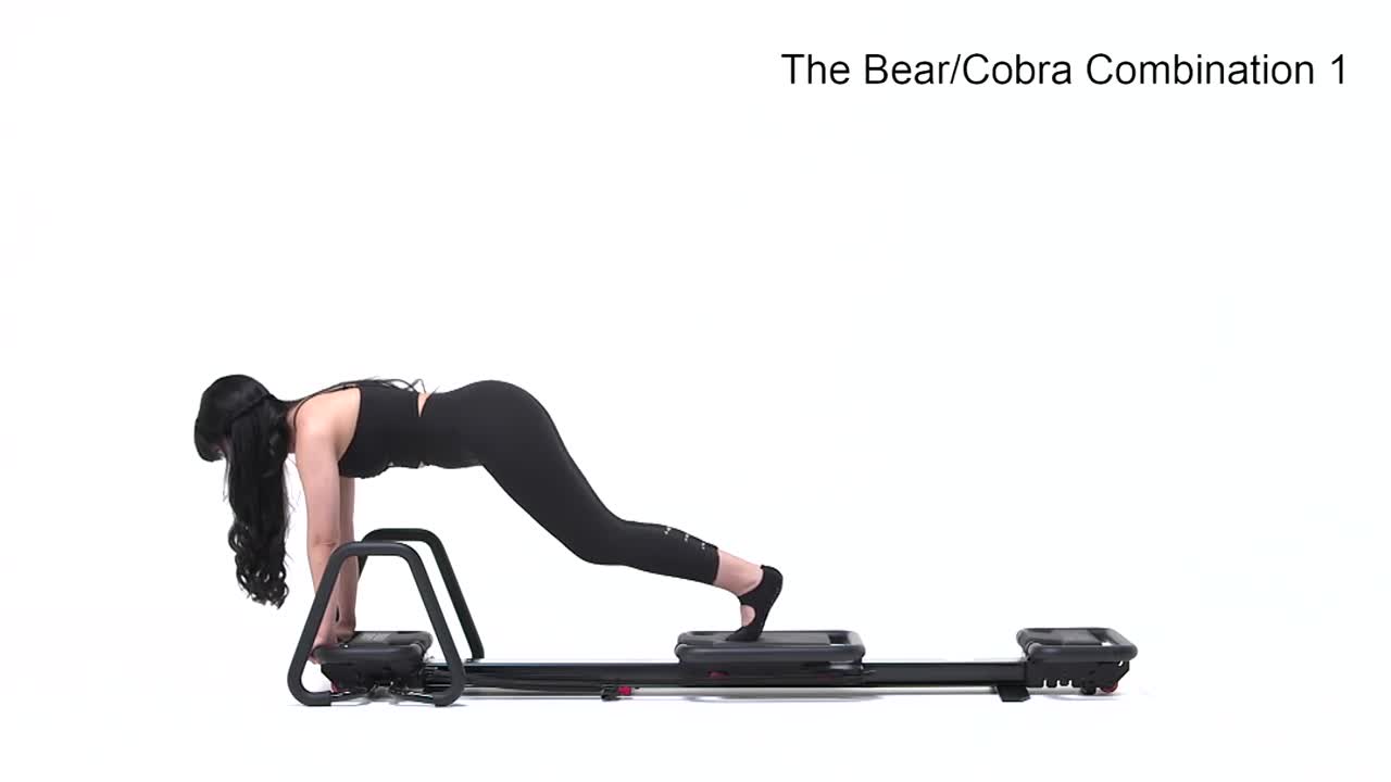 Bear/Cobra Combination 1